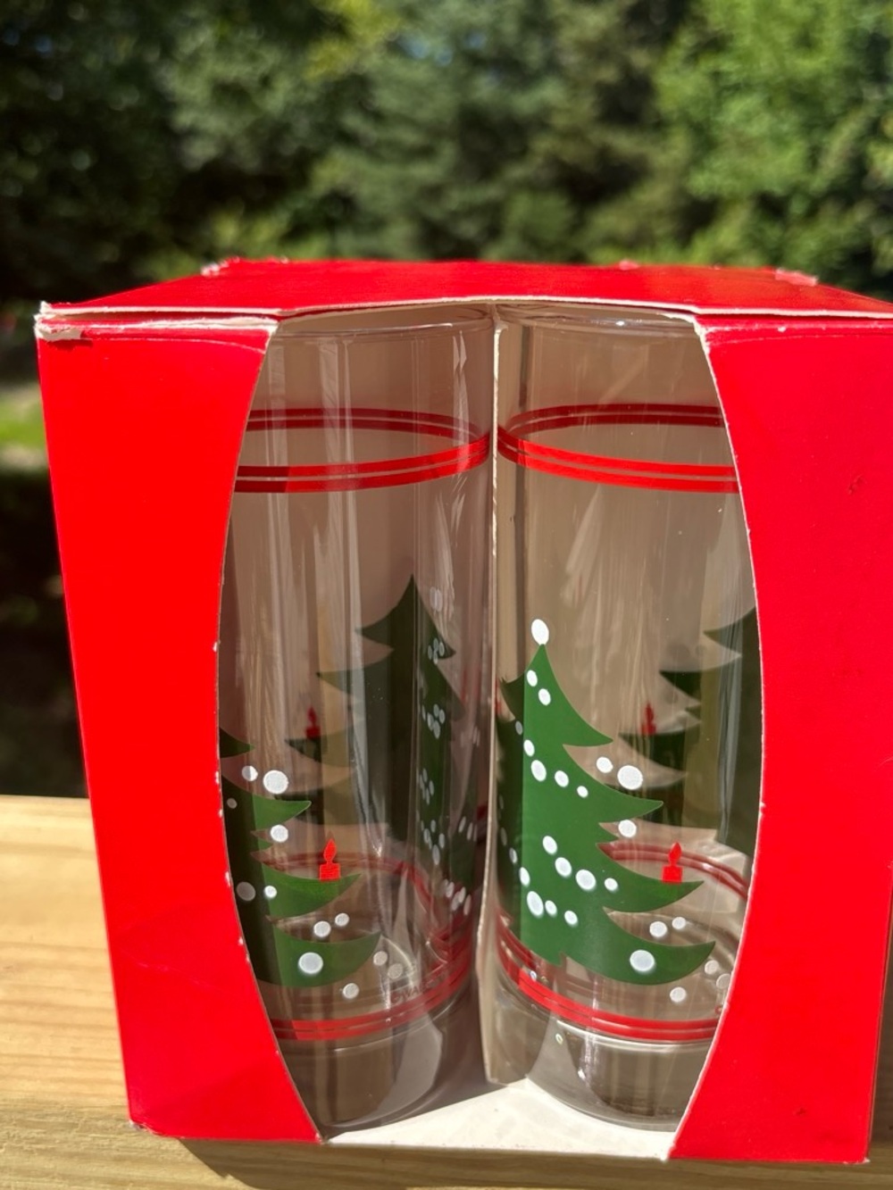 Holiday Pine Tree Highball Glasses — Green & Red (Set of 2)